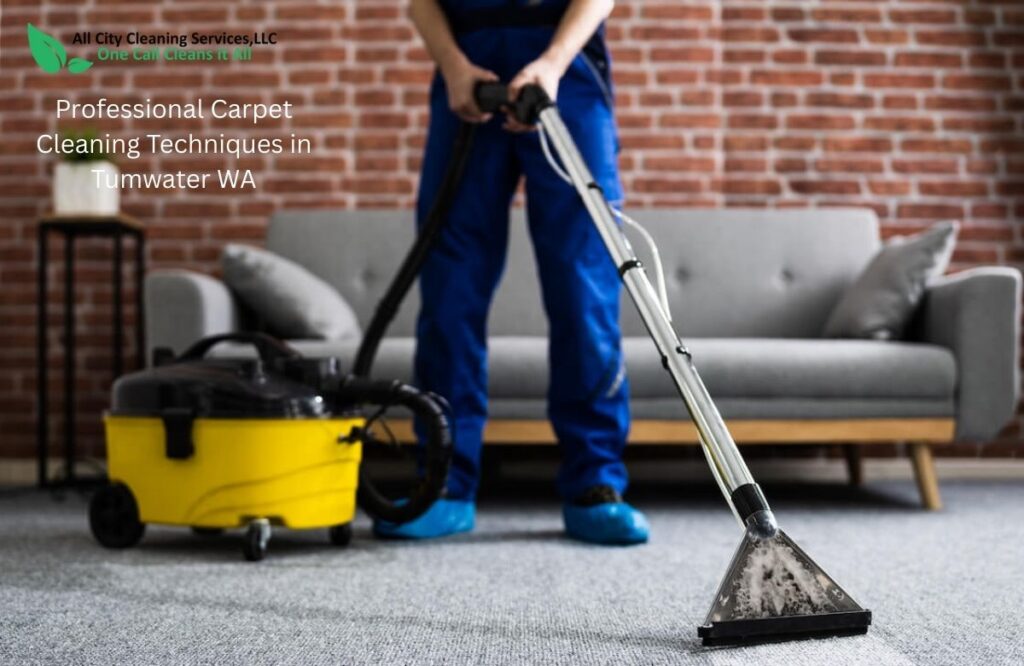 Professional Carpet Cleaning Techniques in Tumwater WA