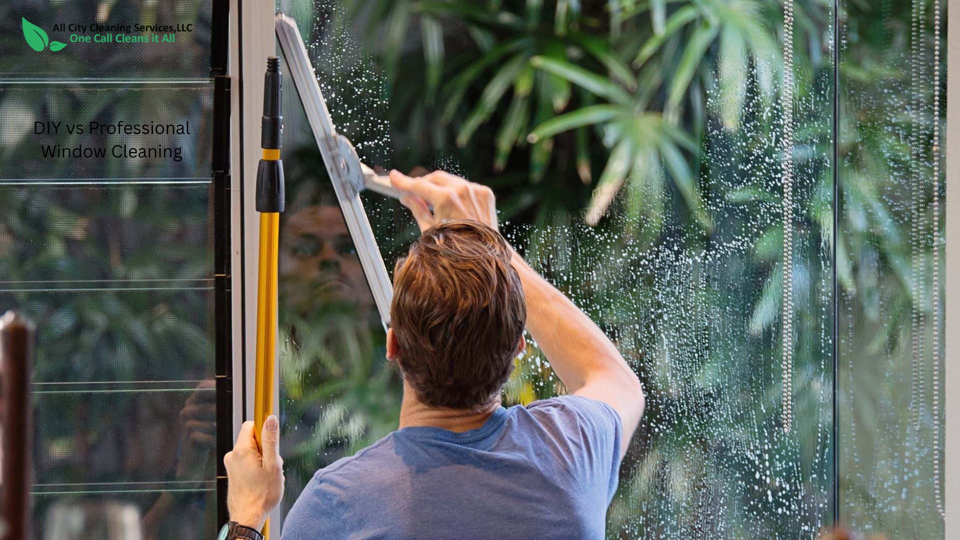 DIY vs Professional Window Cleaning