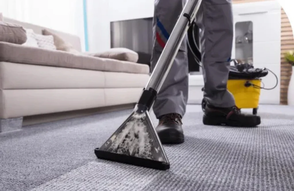 How to Choose the Best Carpet House Cleaning in Lacey WA