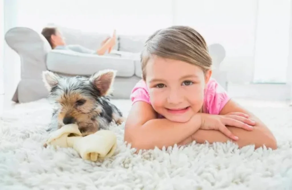 How to Remove Pet Odors from Carpet Permanently 1