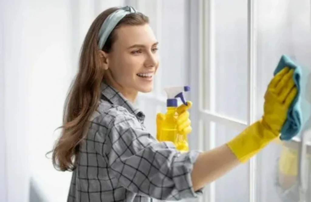 How to Clean Windows Like a Professional Without Streaks 1